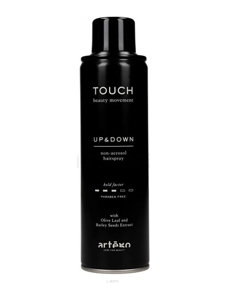 ARTEGO TOUCH UP AND DOWN LAKIER BEZ GAZU 400 ml